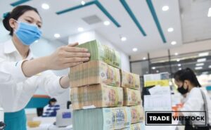 Đầu tư hay vay ngân hàng để sở hữu bất động sản trước tuổi 30