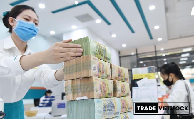 Vay Ngân Hàng Trade Việt Stock