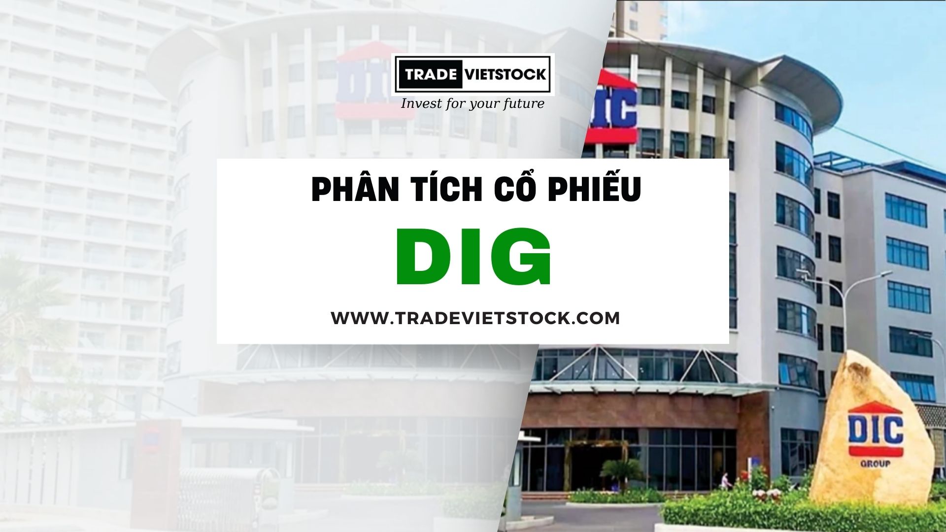 Phã N Tã Ch Cá PhiẠU BẠT ä á Ng SẠN Dig KhuyẠN Nghá F247 Com Phã N Tã Ch Cá PhiẠU BẠT ä á Ng SẠN Dig KhuyẠN Nghá F247 Com