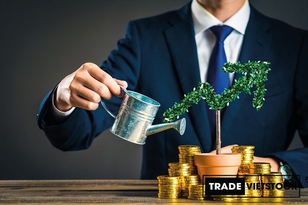 Chi-phi-la-gi-4 Trade Việt Stock
