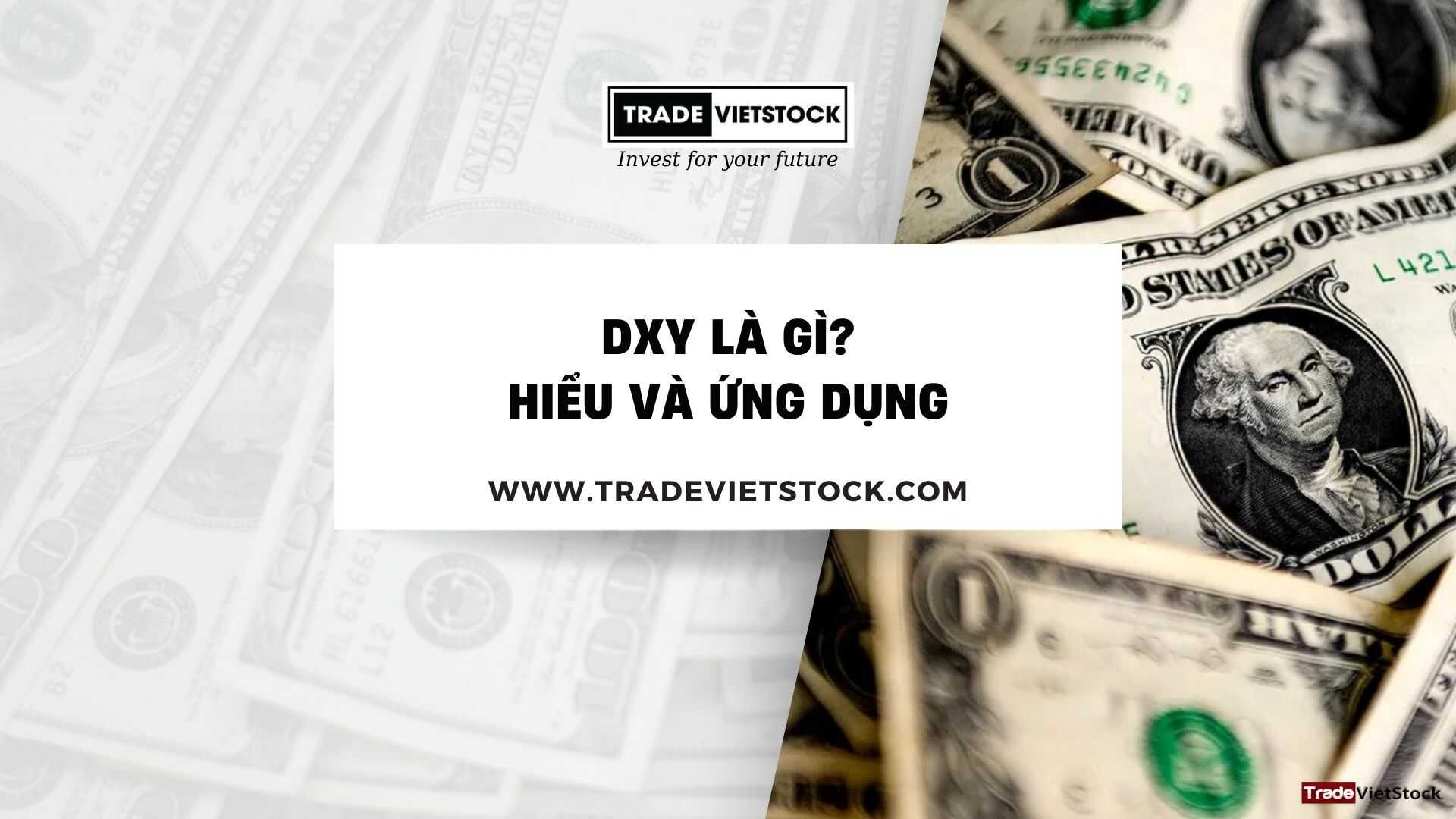 Dxy là gì - Tradevietstock