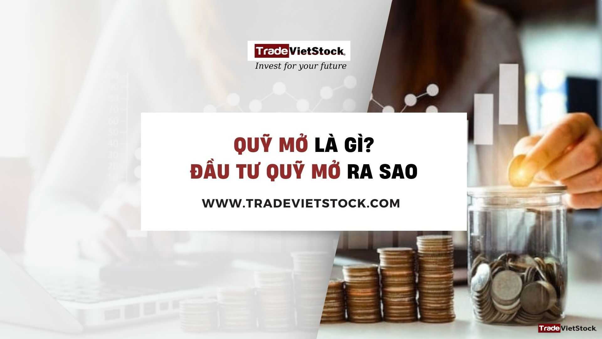 Quỹ mở là gì