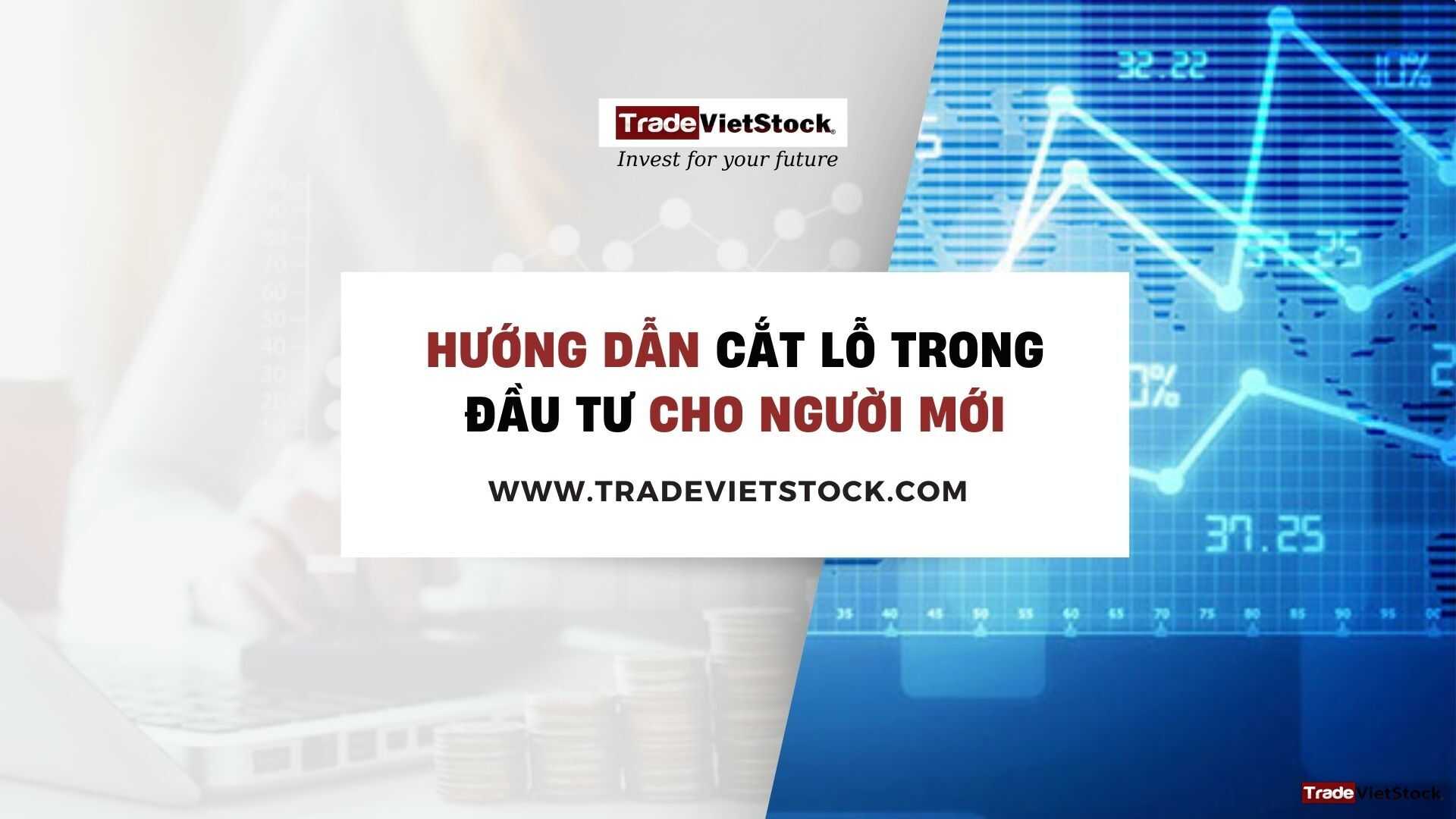 Hướng Dẫn Cắt Lỗ Trong đầu Tư Cho Người Mới Trade Việt Stock
