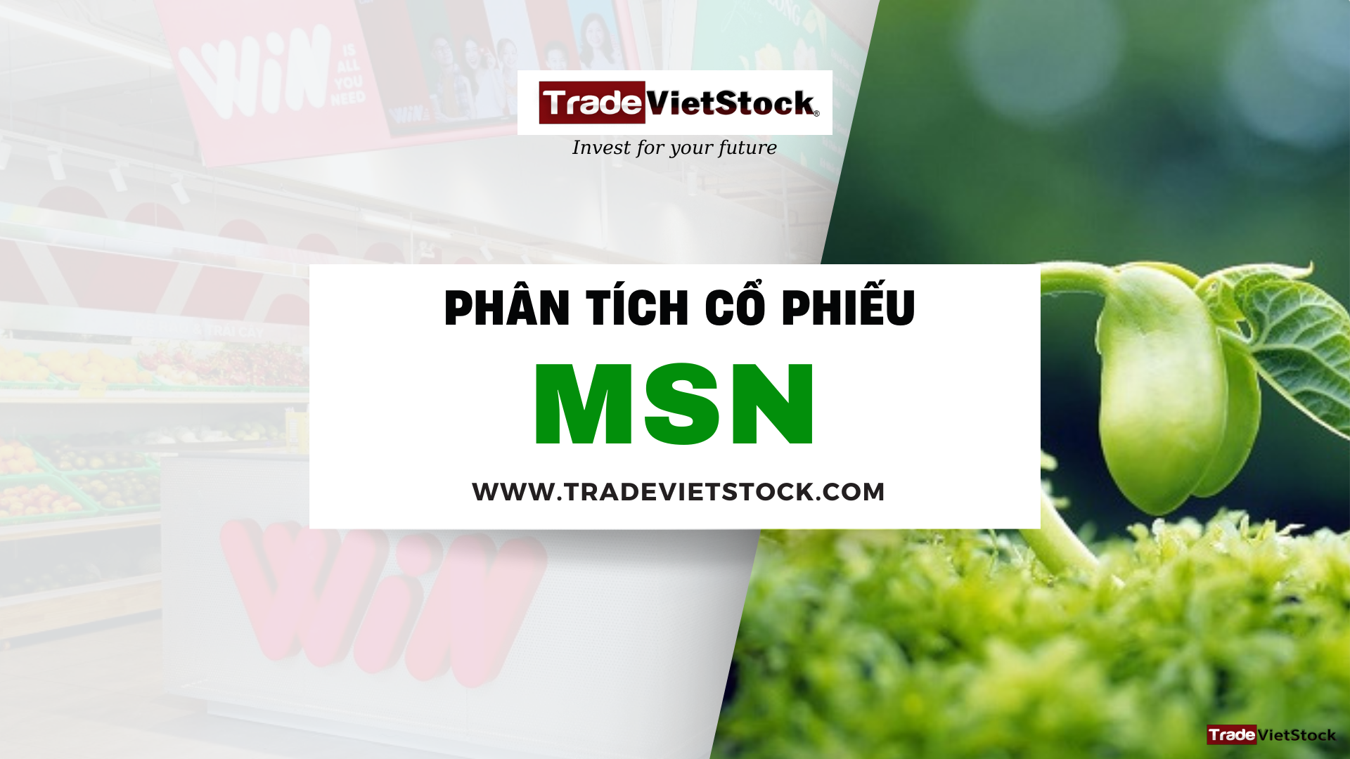 Phân tích cổ phiếu MSN