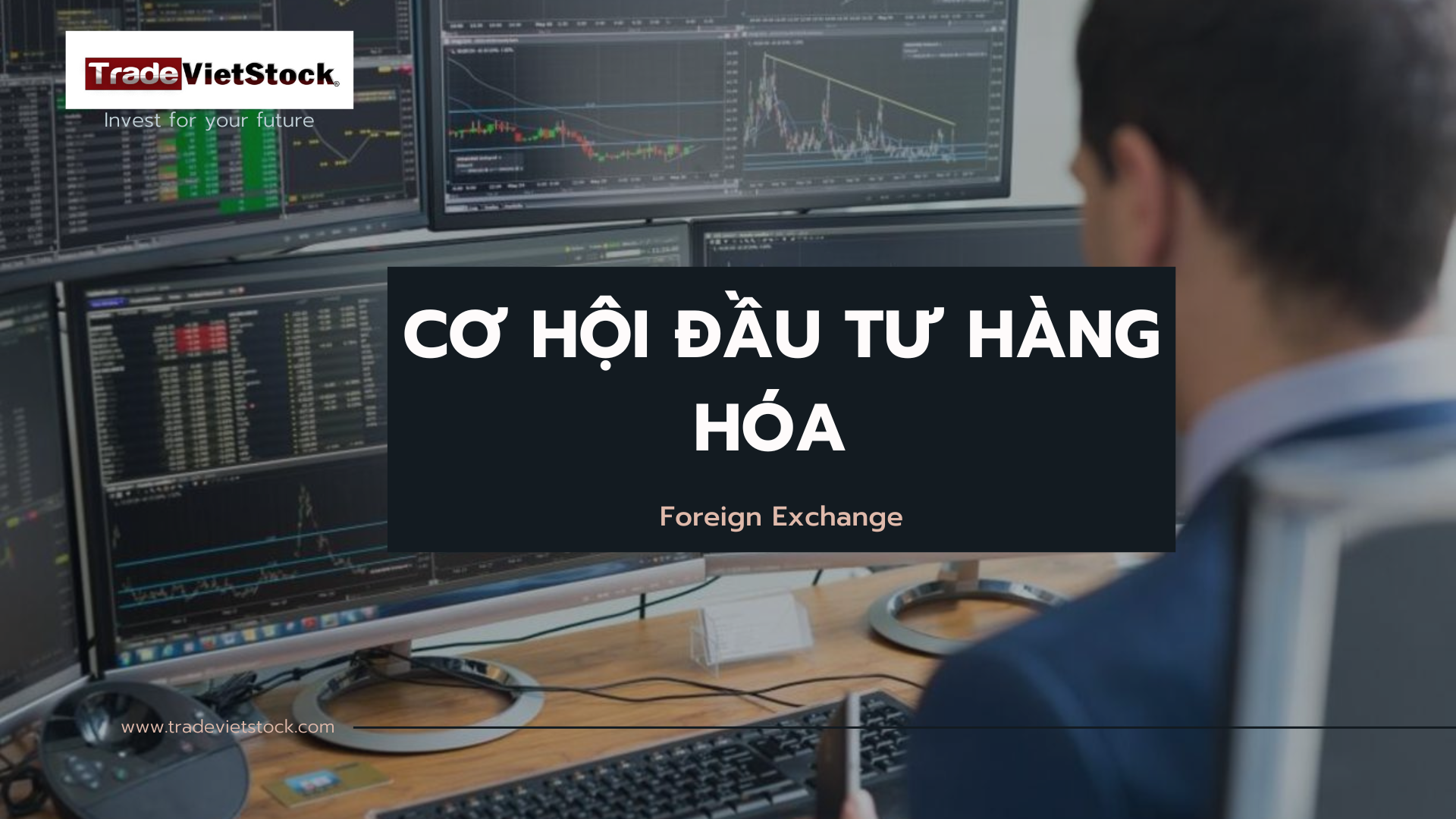 Cơ Hội đầu Tư Hàng Hóa