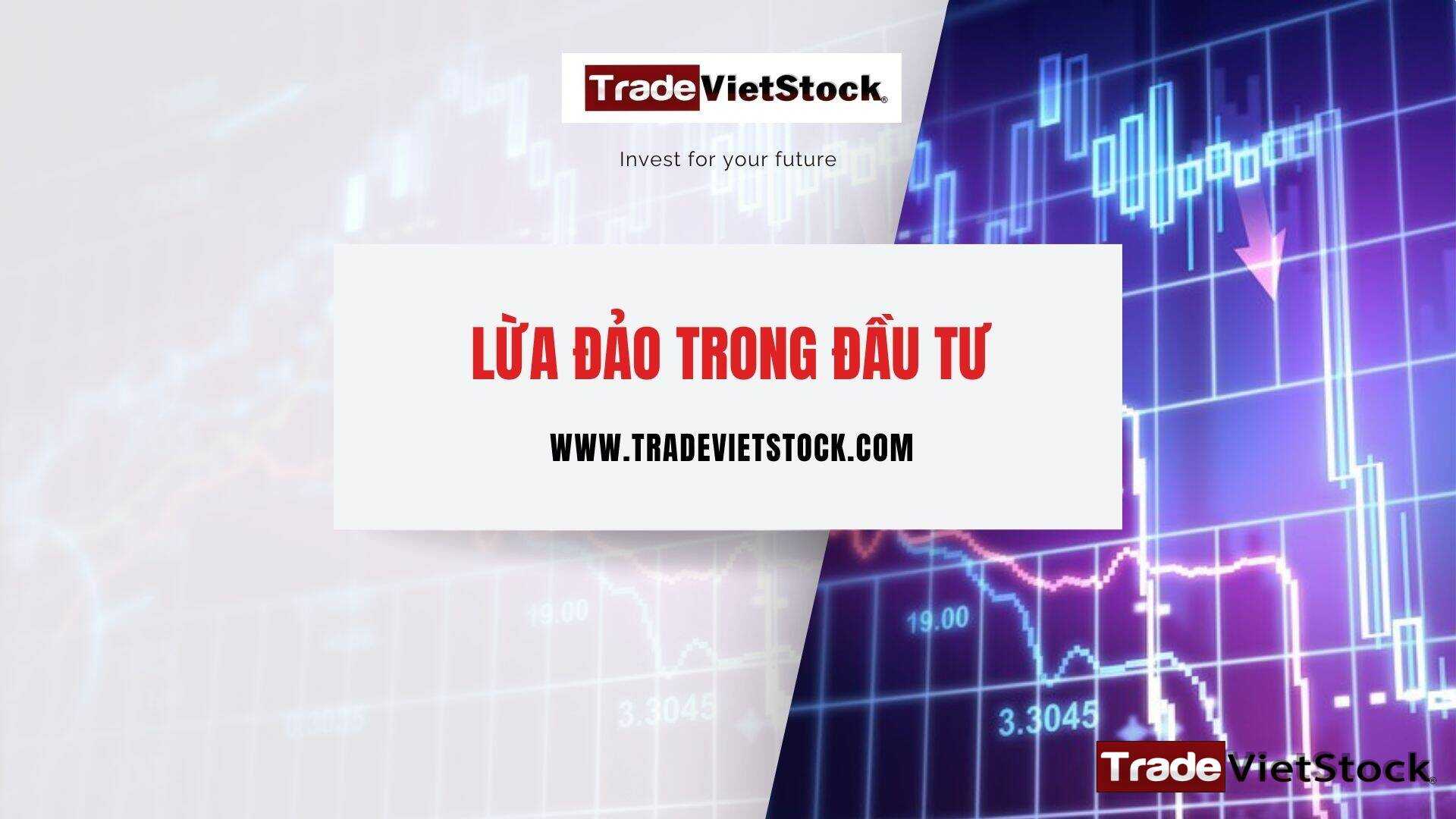 Lừa đảo trong đầu tư