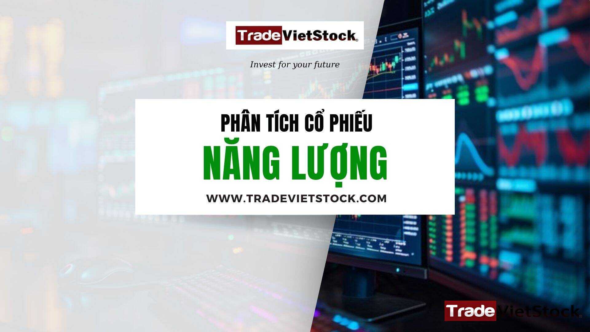 Phân Tích Cổ Phiếu Năng Lượng Trade Việt Stock