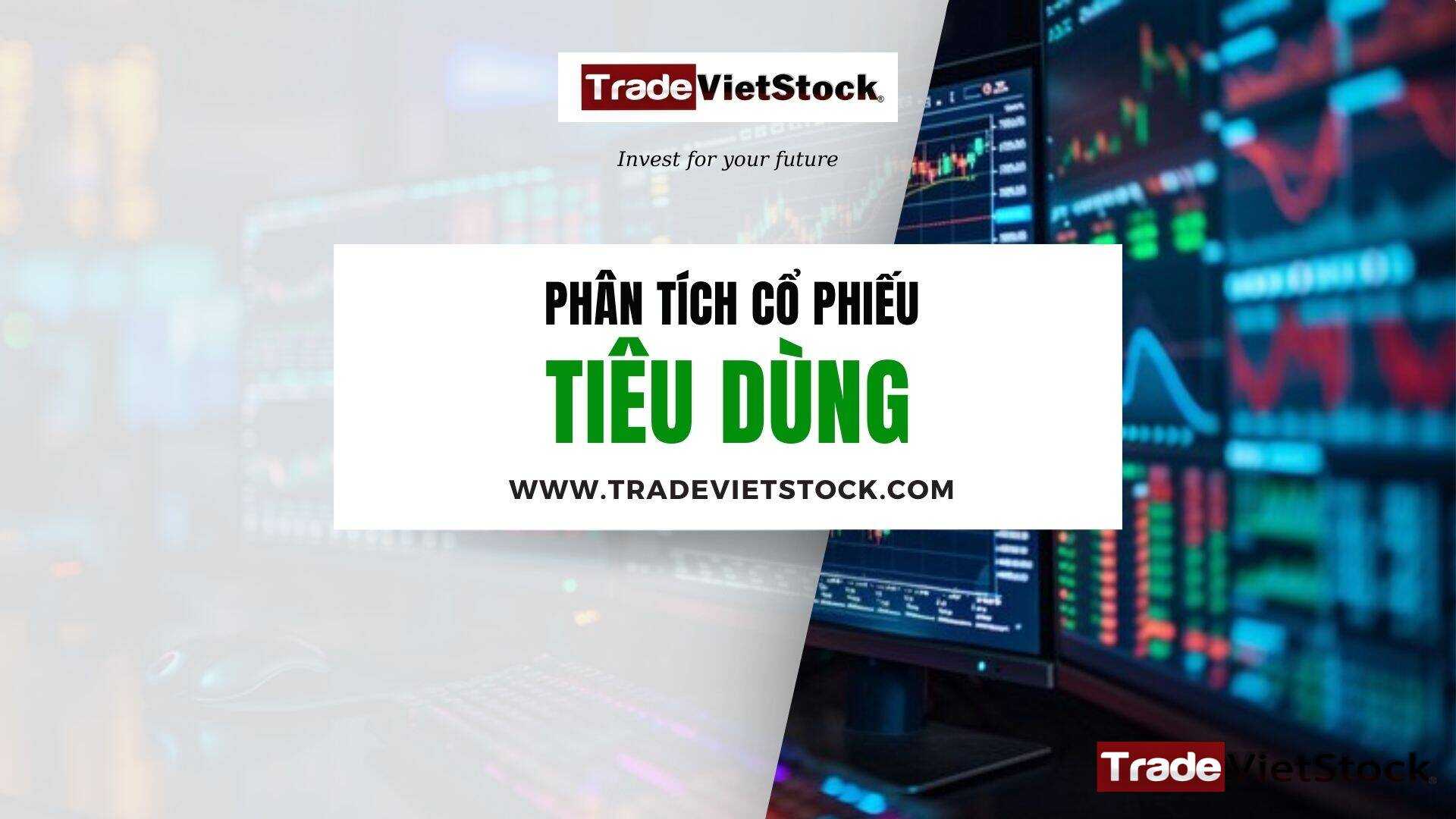 Phân Tích Cổ Phiếu Tiêu Dùng Trade Việt Stock