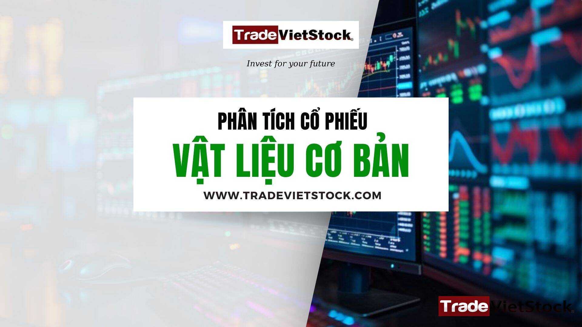 Phân Tích Cổ Phiếu Vật Liệu Cơ Bản Trade Việt Stock