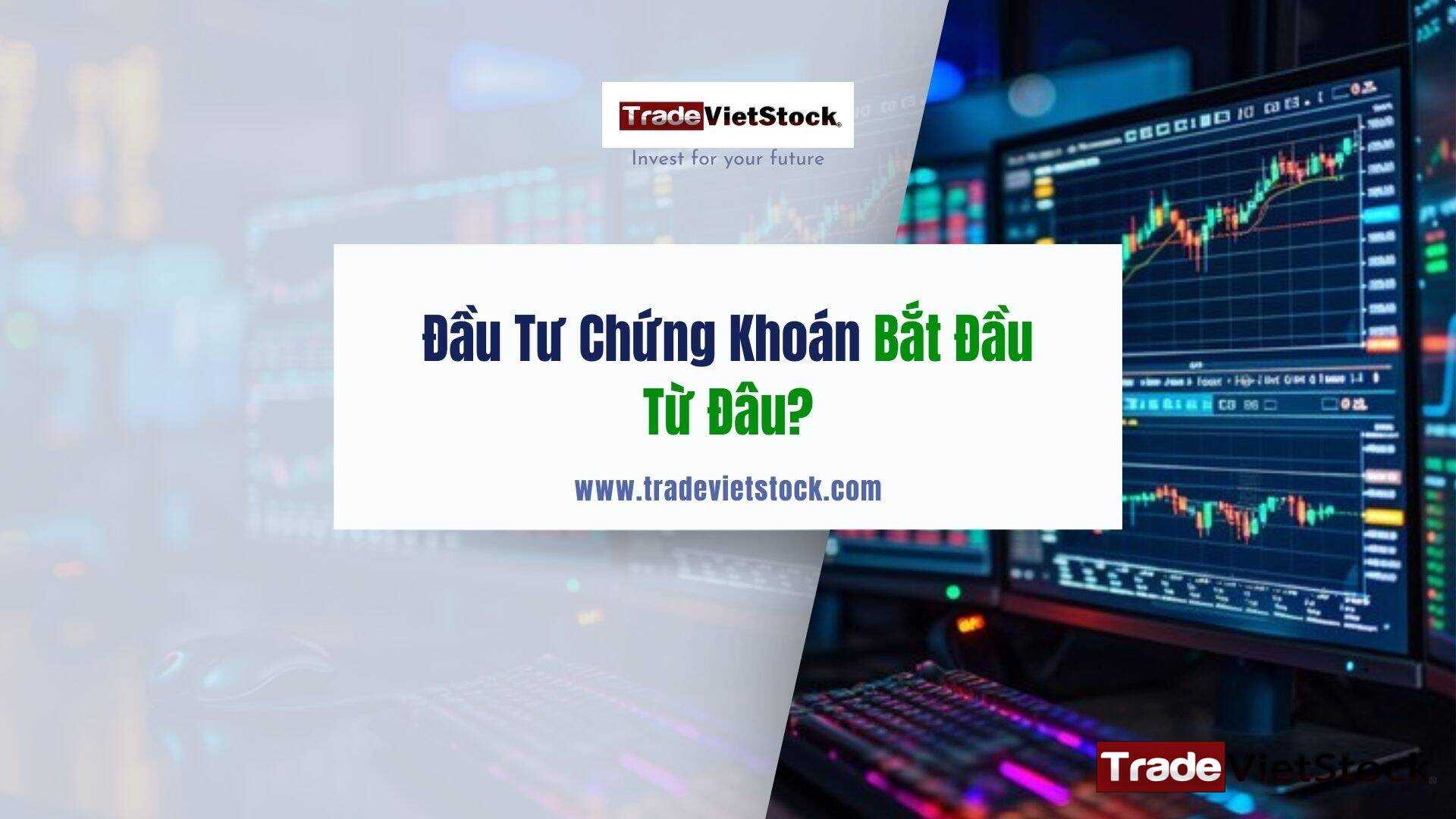 Đầu Tư Chứng Khoán Bắt Đầu Từ Đâu Trade Việt Stock