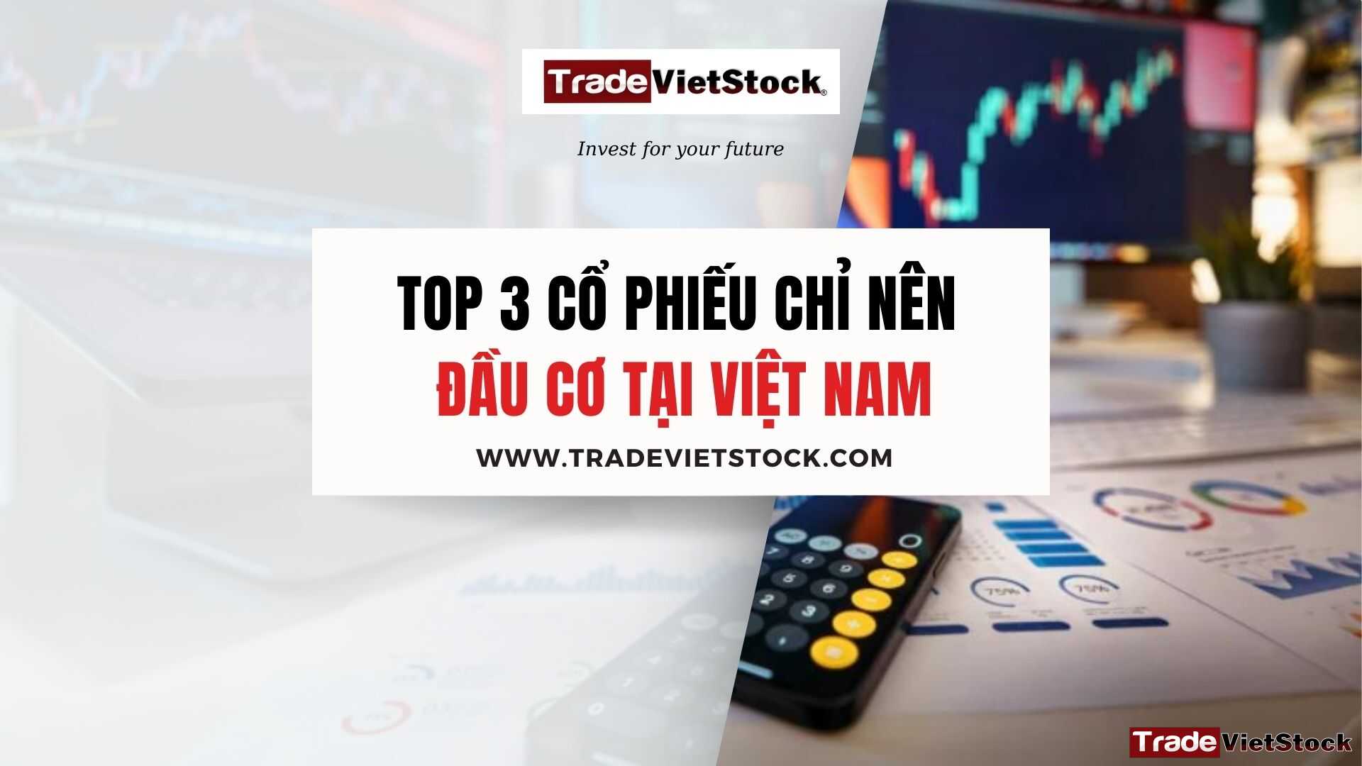 Top 3 Cổ Phiếu Chỉ Nên đầu Cơ Tại Việt Nam Trade Việt Stock