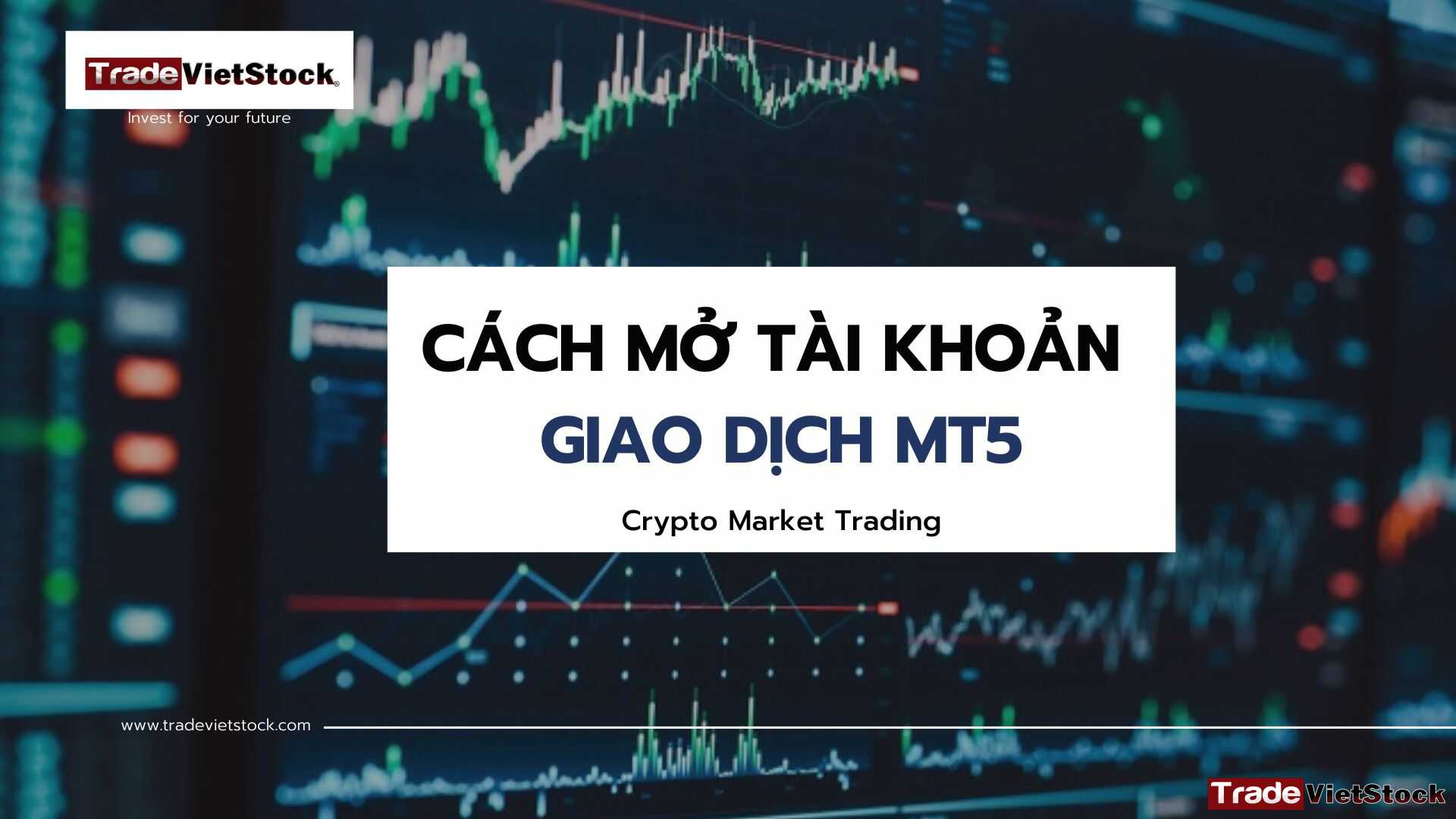 Cách mở tài khoản giao dịch MT5 cực nhanh