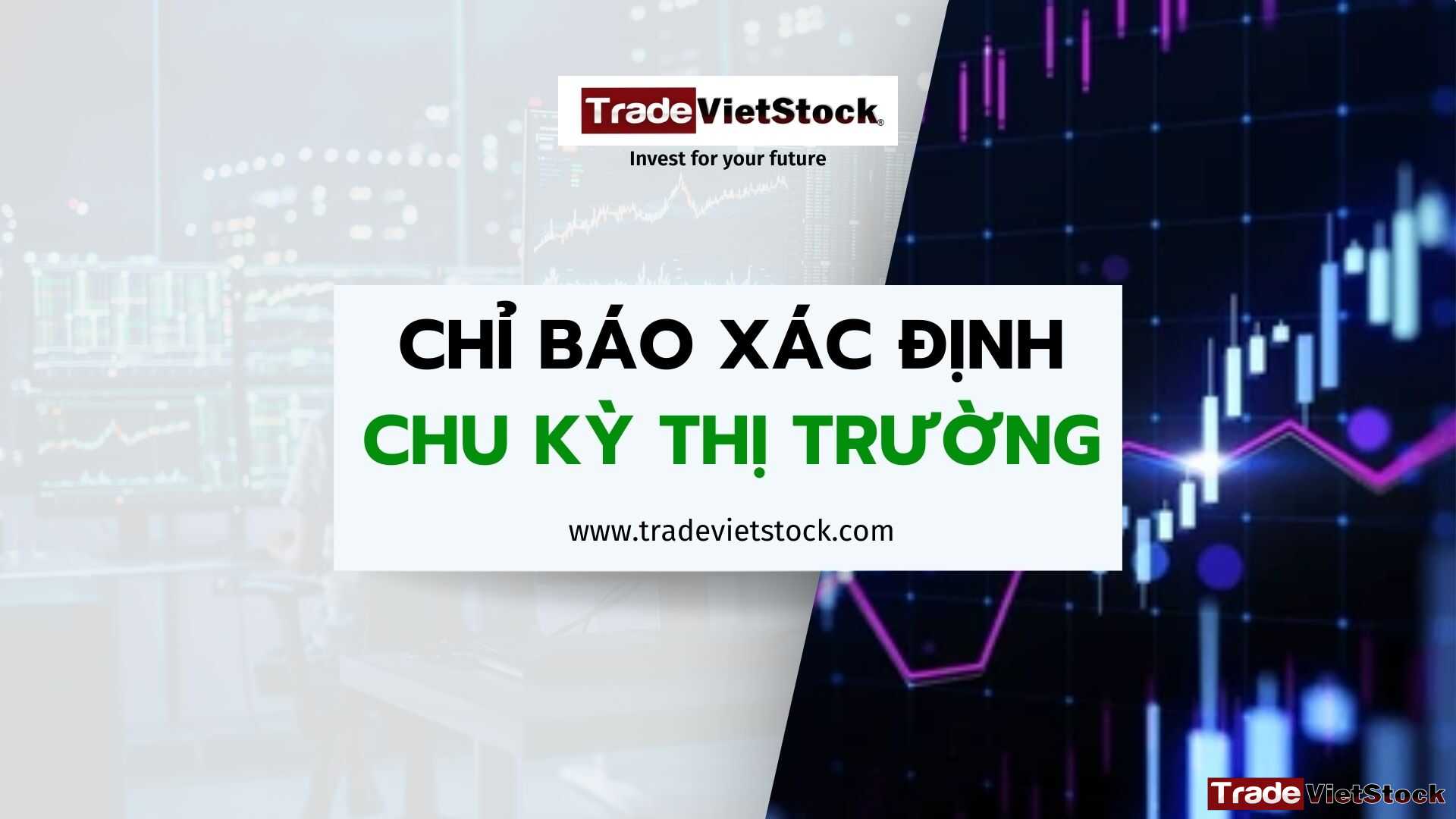Chỉ Báo Xác định Chu Kỳ Thị Trường Quantum Flux Indicator Tradevietstock