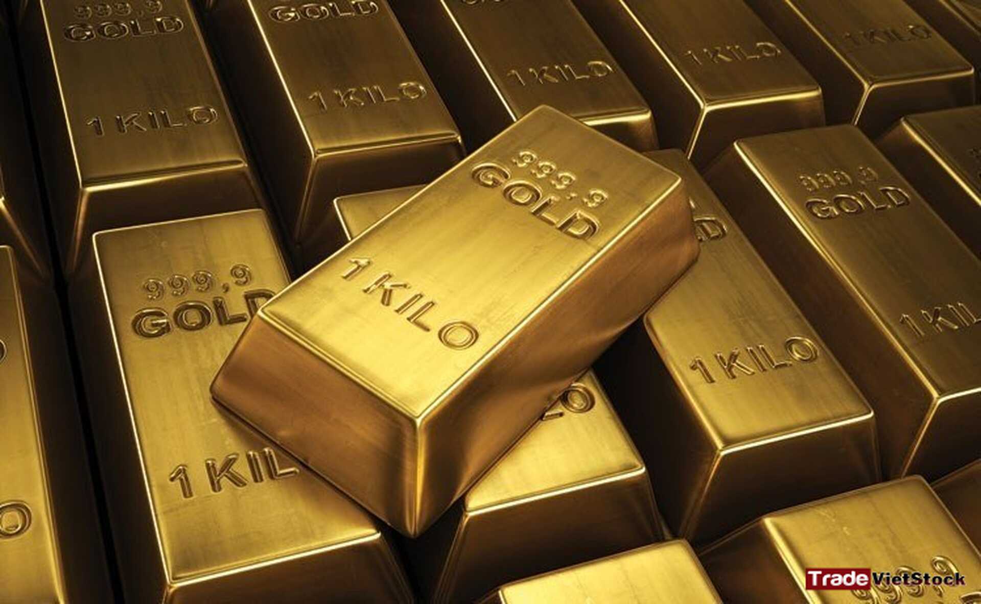 Khái niệm về đầu tư vàng 2 1 Kilo Vàng Tradevietstock