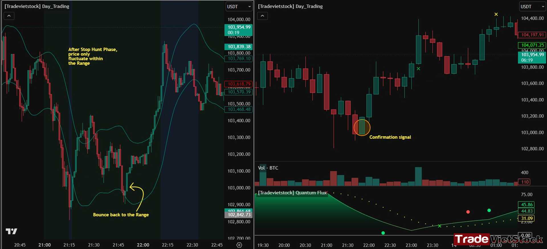 Avoid stop hunt in trading 11 Another Example Of Stop Hunt Phase And Entry Detection Tradevietstock