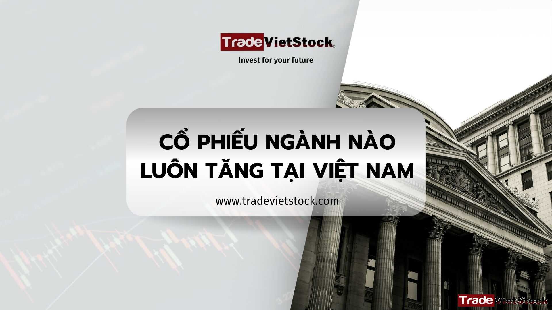 Cổ Phiếu Ngành Nào Luôn Tăng Tại Việt Nam Tradevietstock