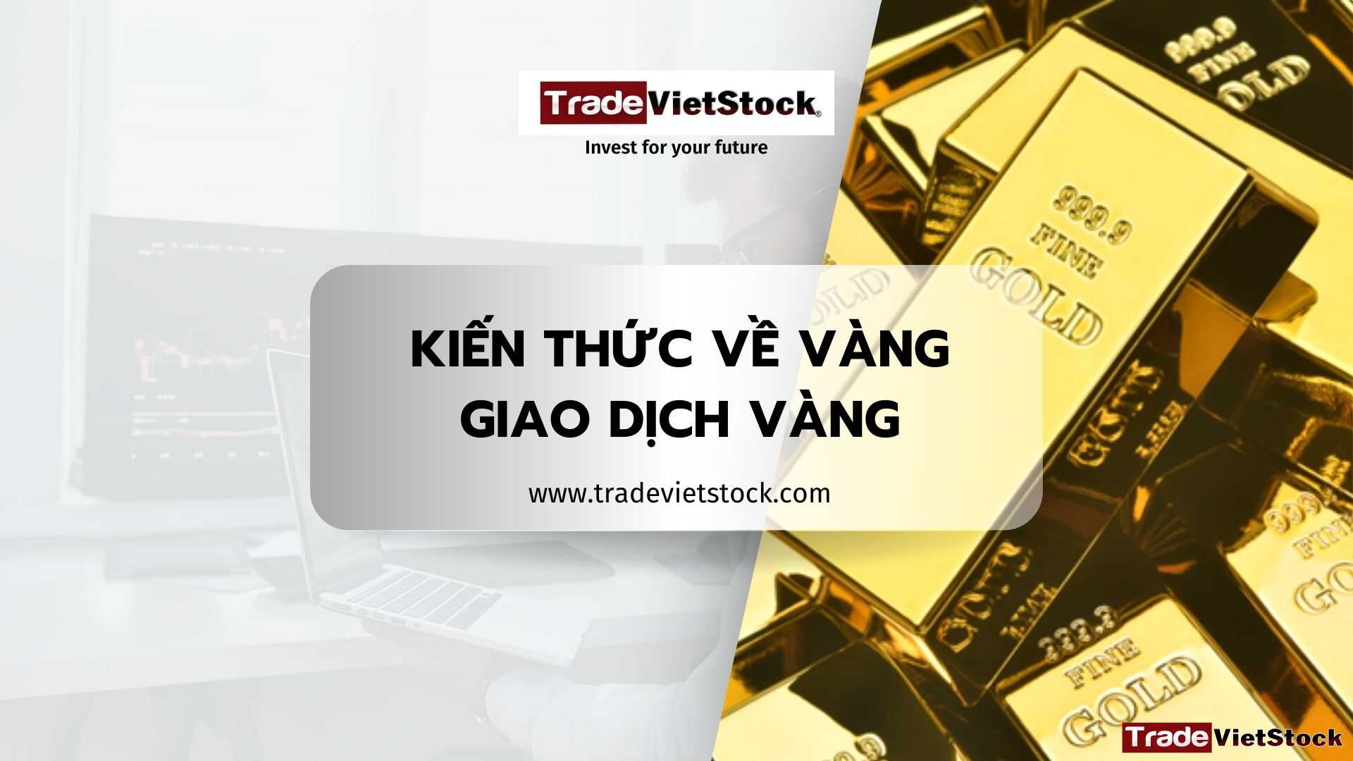 Khái Niệm Về đầu Tư Vàng; Giao Dịch Vàng Tradevietstock