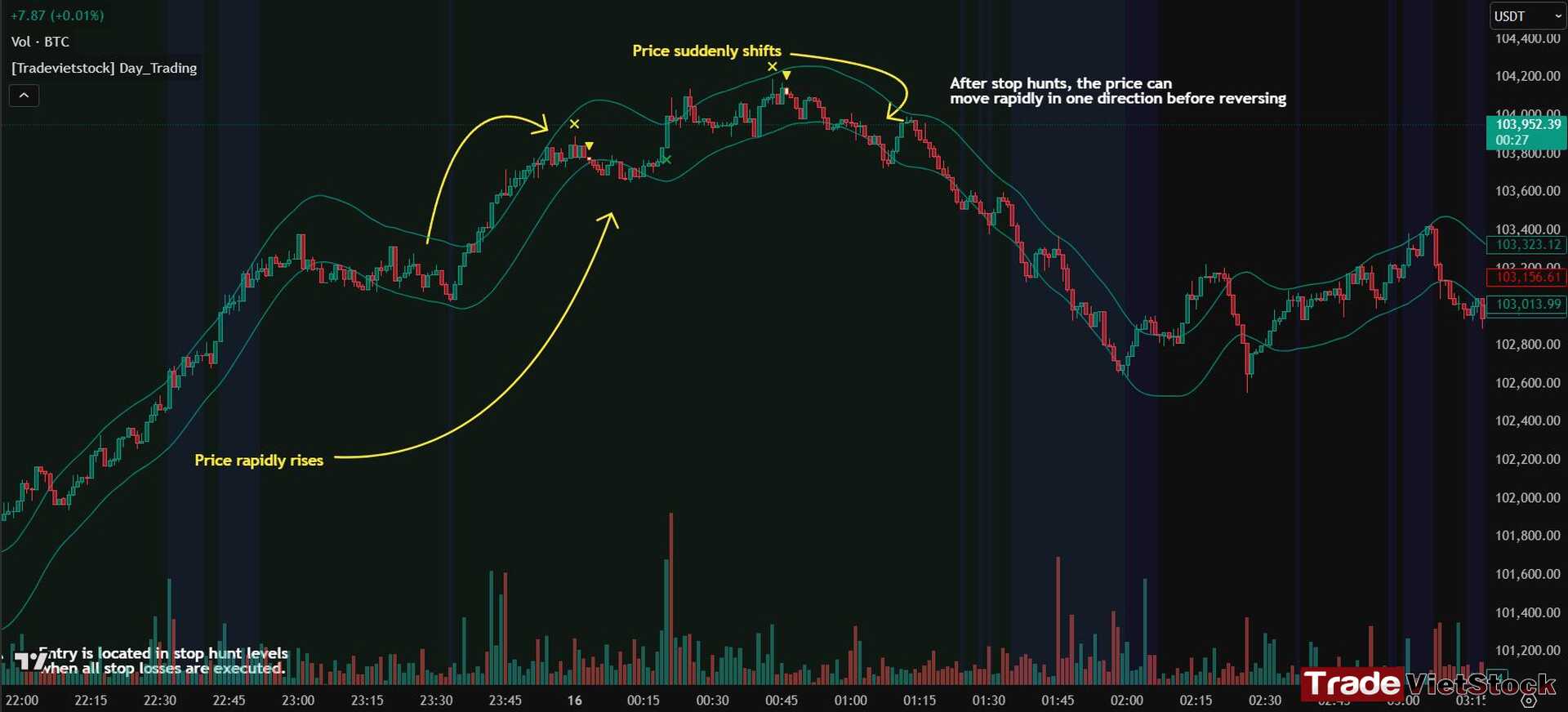 Avoid stop hunt in trading 5 Reversal Signals Tradevietstock
