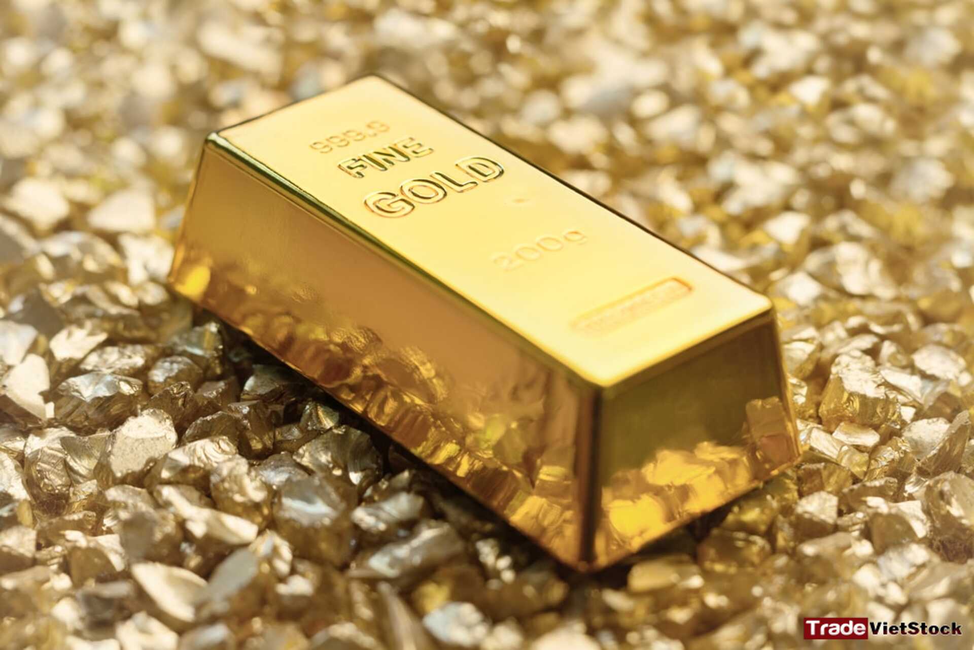 Khái niệm về đầu tư vàng 10 Thỏi Vàng 24k Tradevietstock