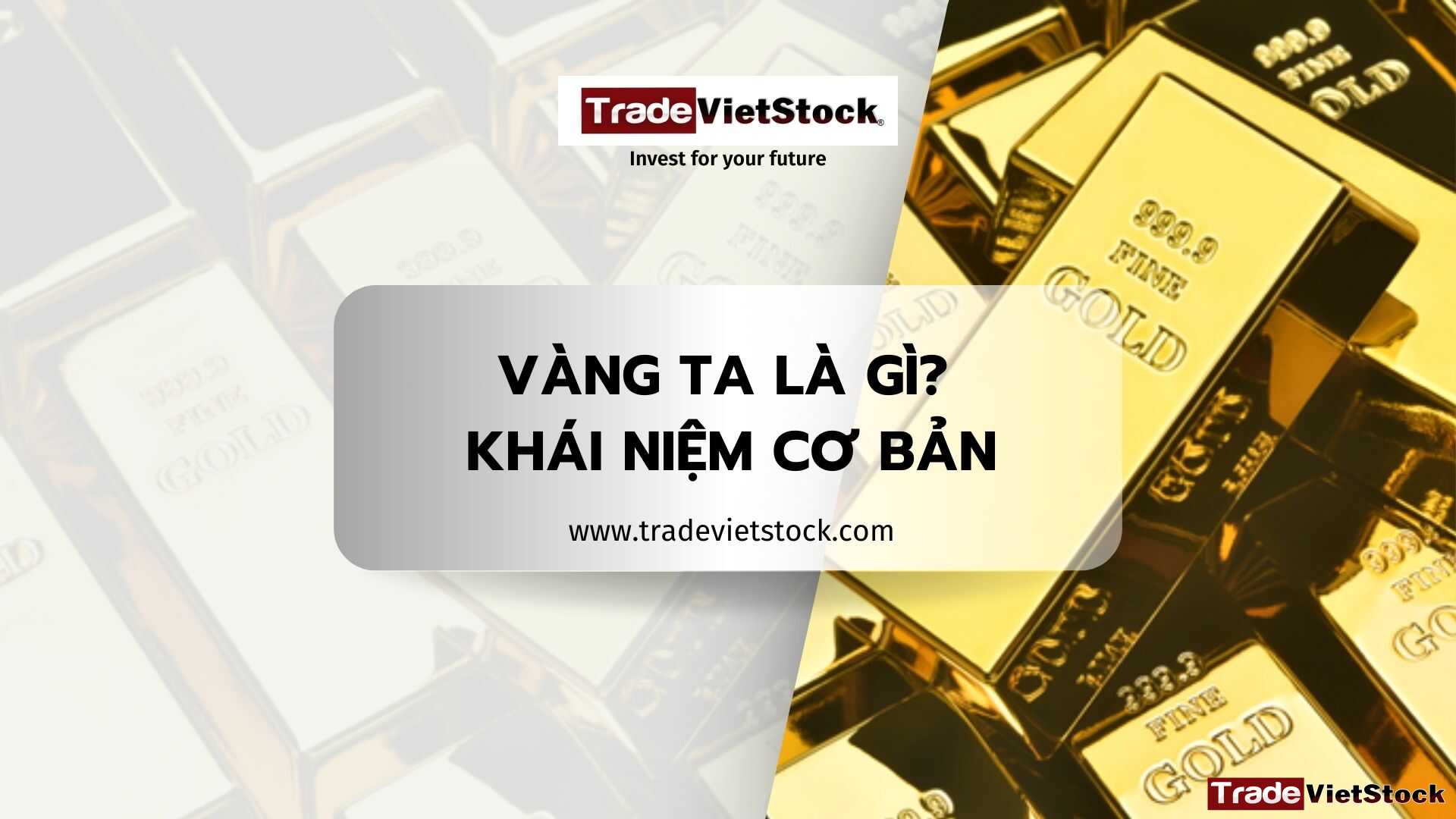 Vàng Ta Là Gì, Khái Niệm Cơ Bản Tradevietstock