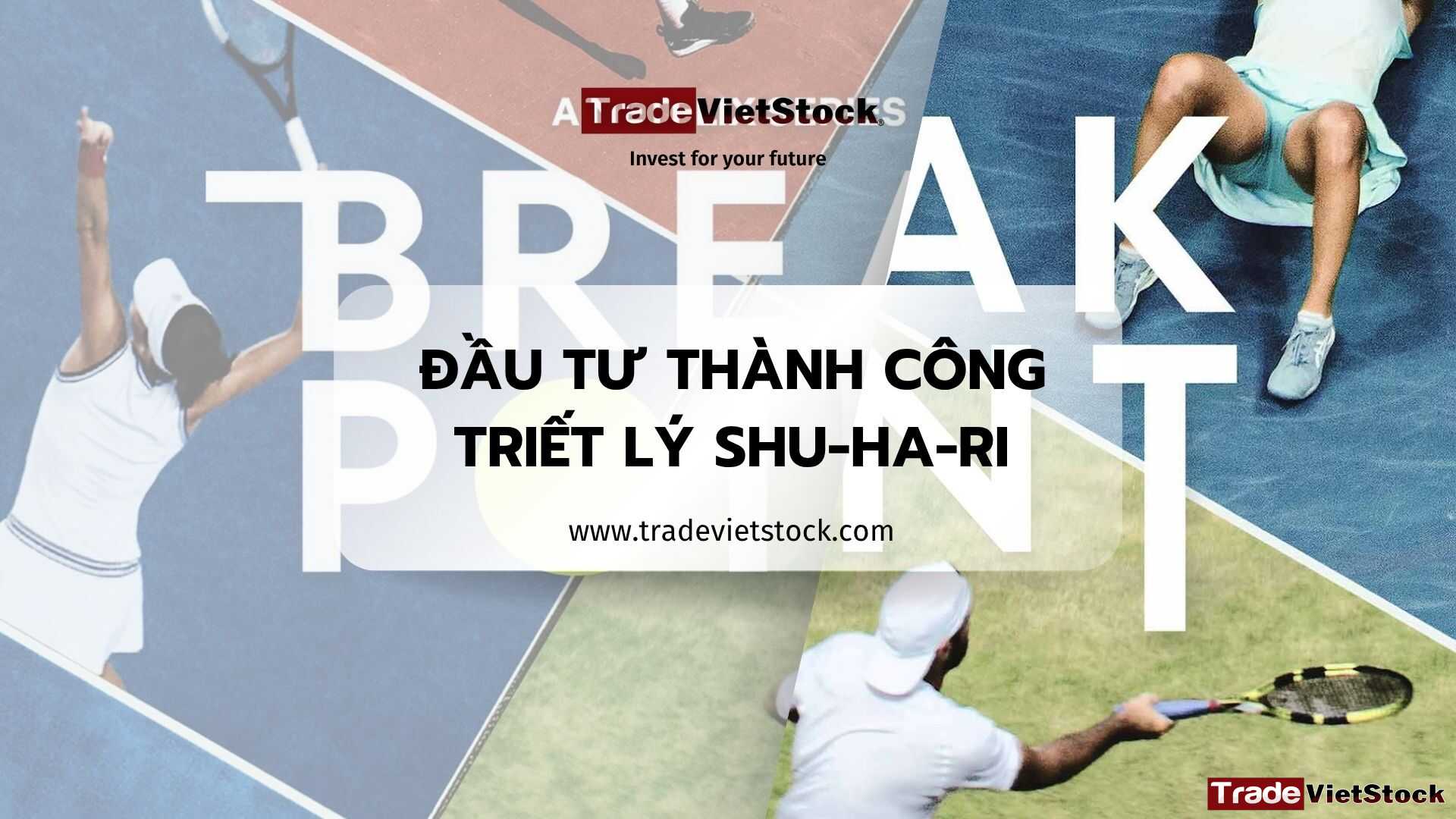 Trade Viet Stock Tradevietstock