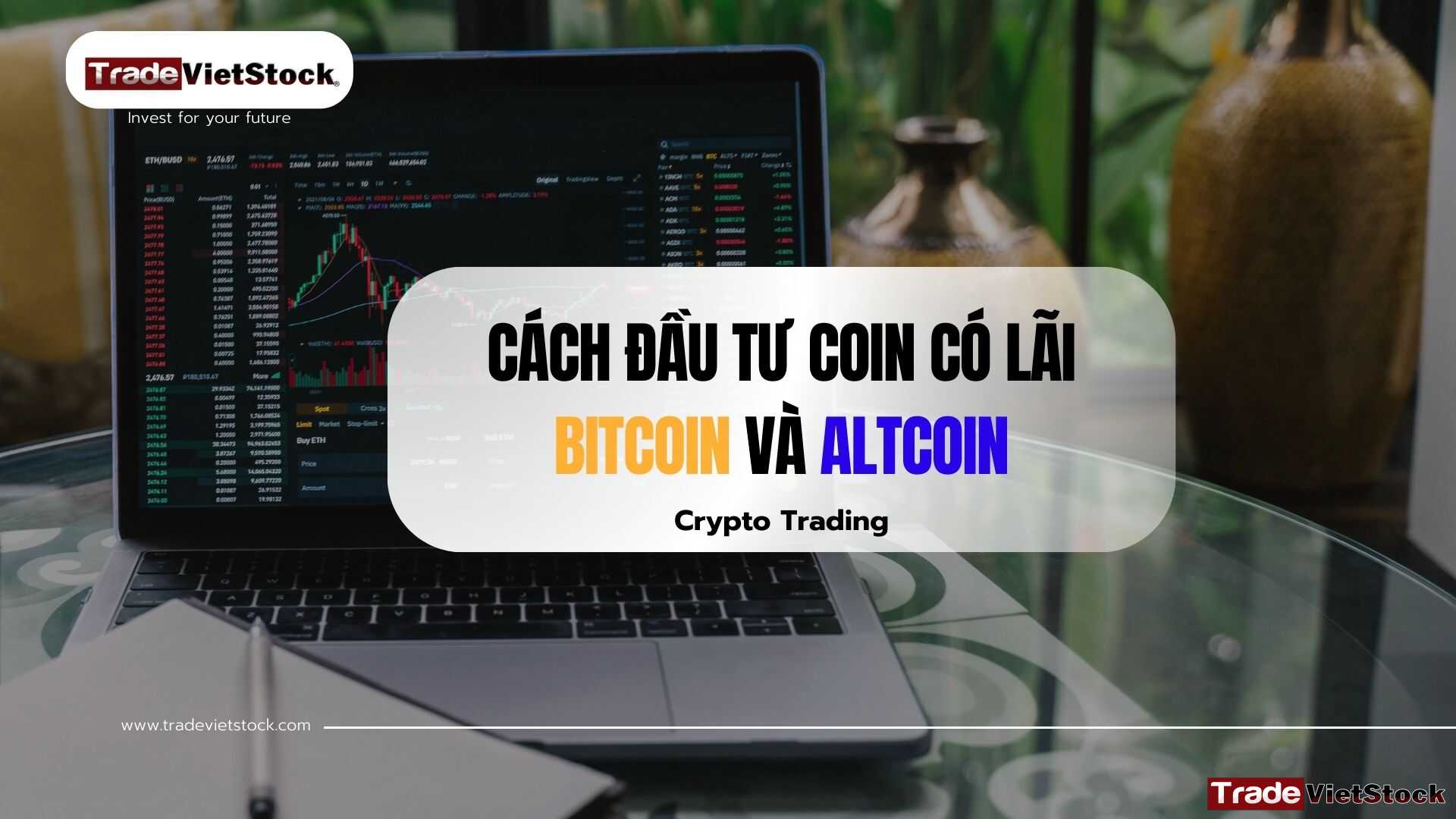 Cách đầu tư coin có lãi