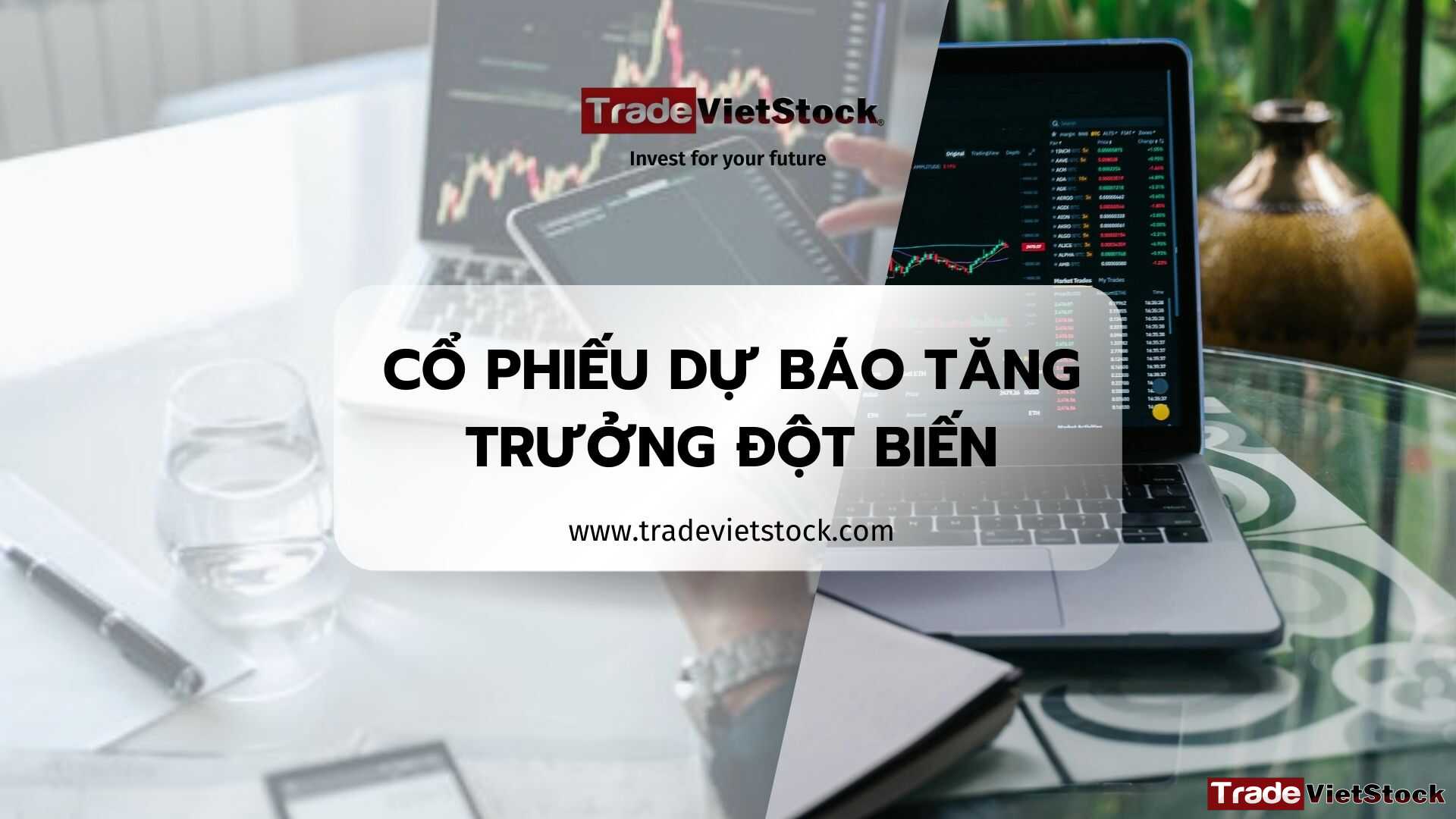 Cổ Phiếu Dự Báo Tăng Trưởng đột Biến Tradevietstock