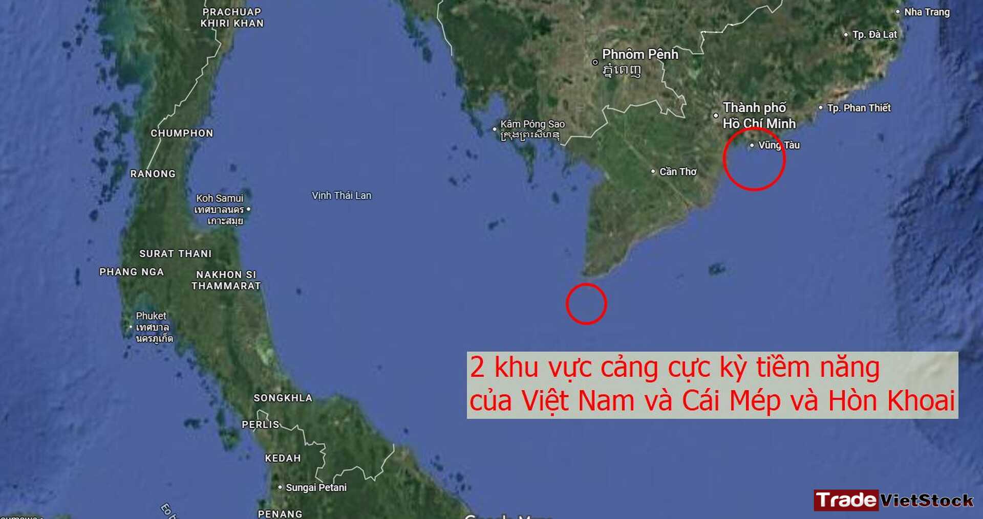 Cổ phiếu dự báo tăng trưởng đột biến 14 Hai Khu Vực Cảng Cực Kỳ Tiềm Năng Của Việt Nam Tradevietstock