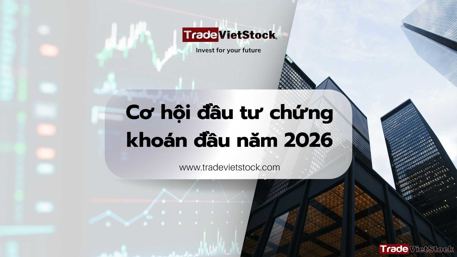 Cơ Hội đầu Tư Chứng Khoán đầu Năm 2026 Tradevietstock
