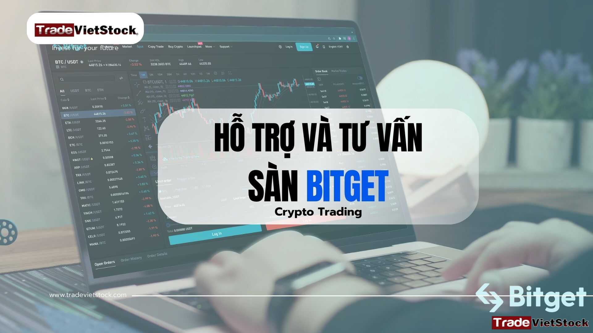 Hỗ Trợ Và Tư Vấn Sàn Bitget