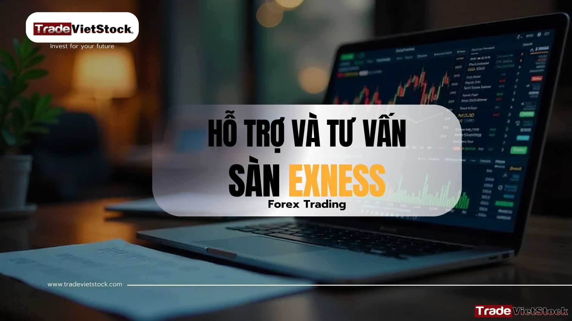 Hỗ Trợ Và Tư Vấn Sàn Exness