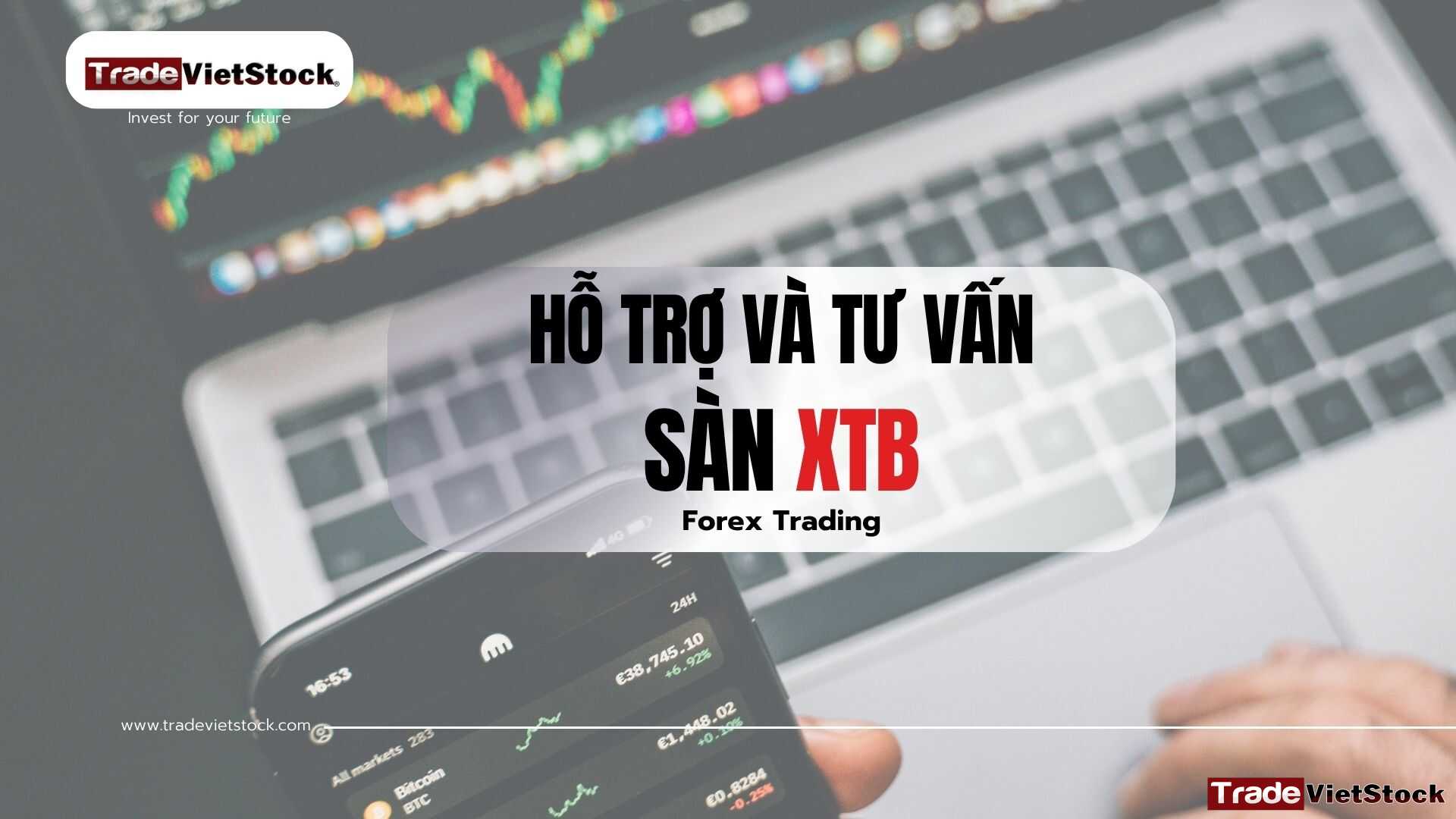 Hỗ Trợ Và Tư Vấn Sàn Xtb