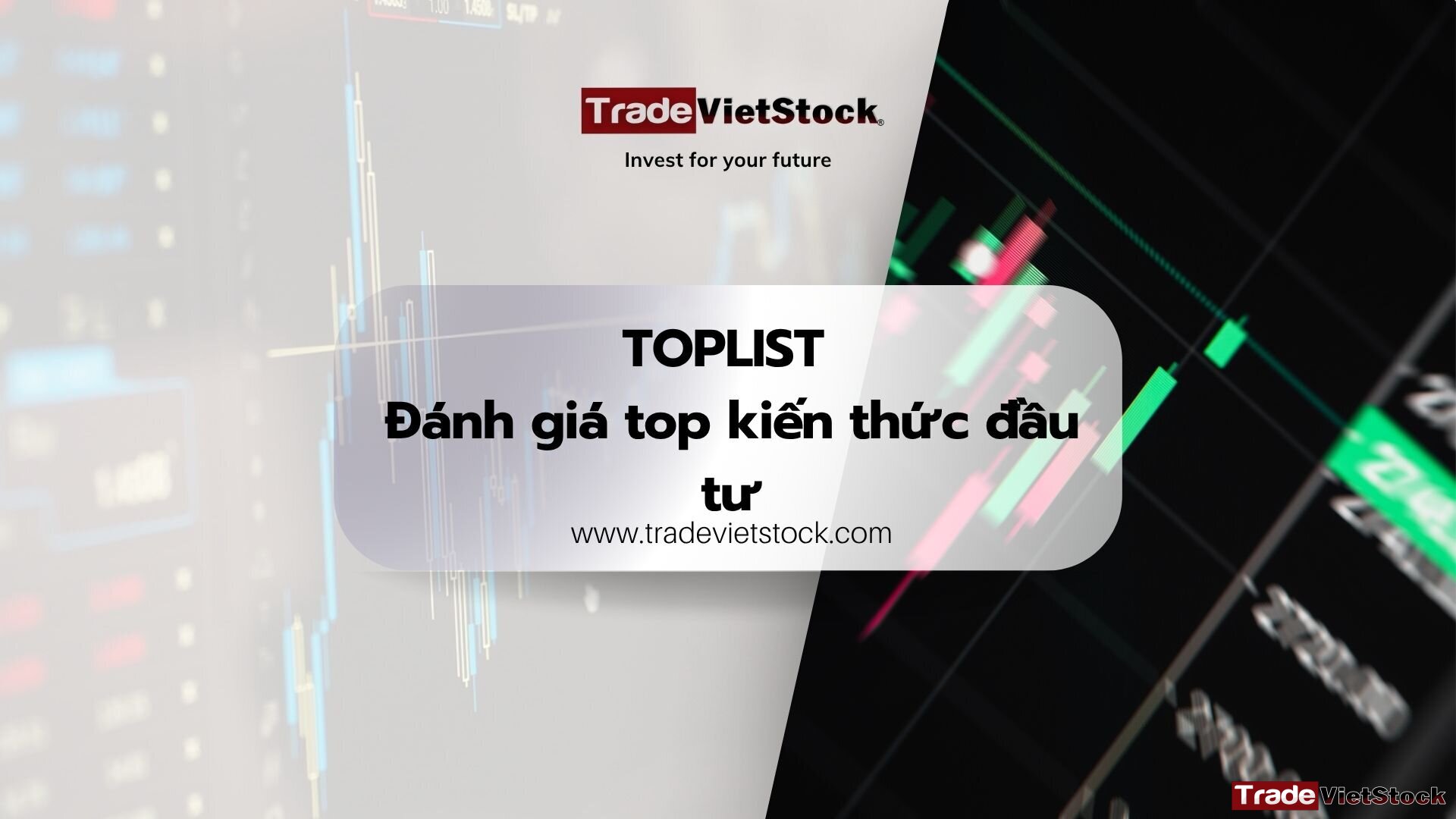 Toplist đánh Giá Top Danh Sách Kiến Thức đầu Tư