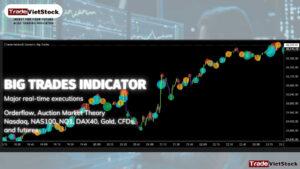 Big Trades Indicator On Tradingview Tradevietstock