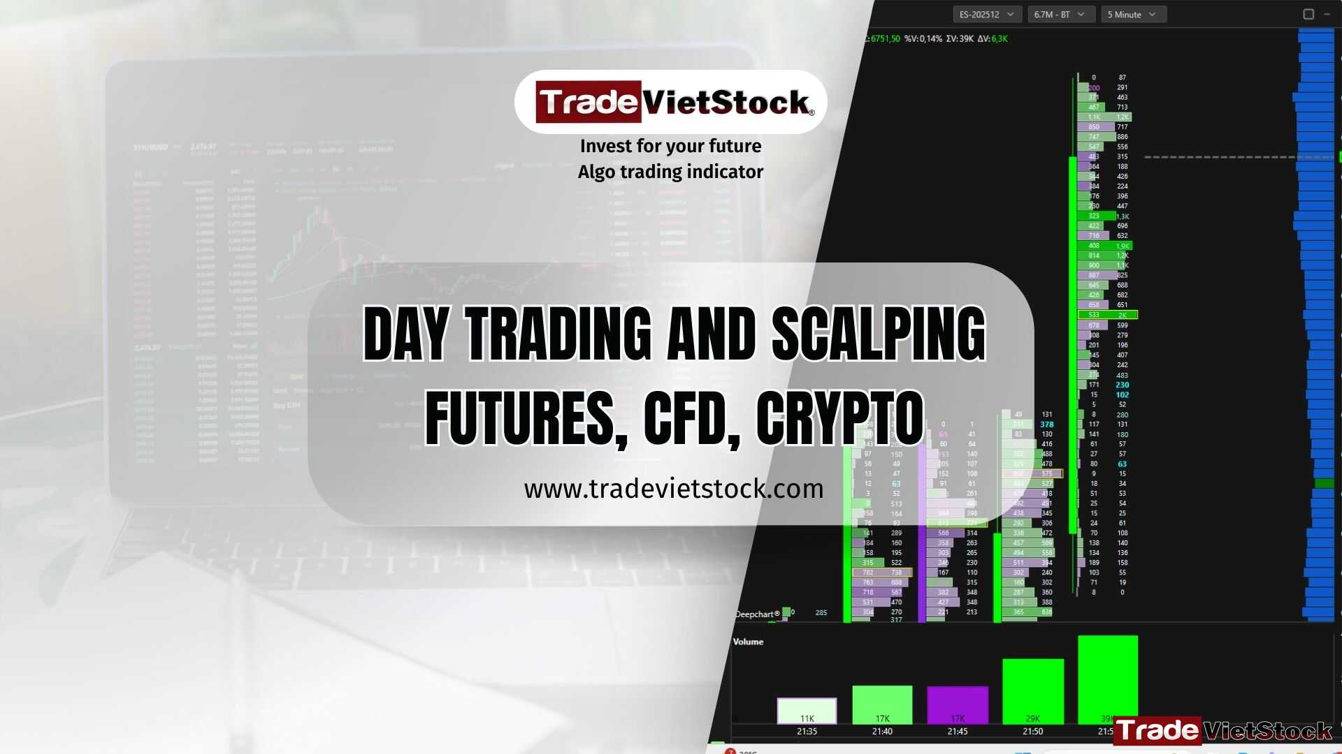 Day Trading And Scalping Tradevietstock