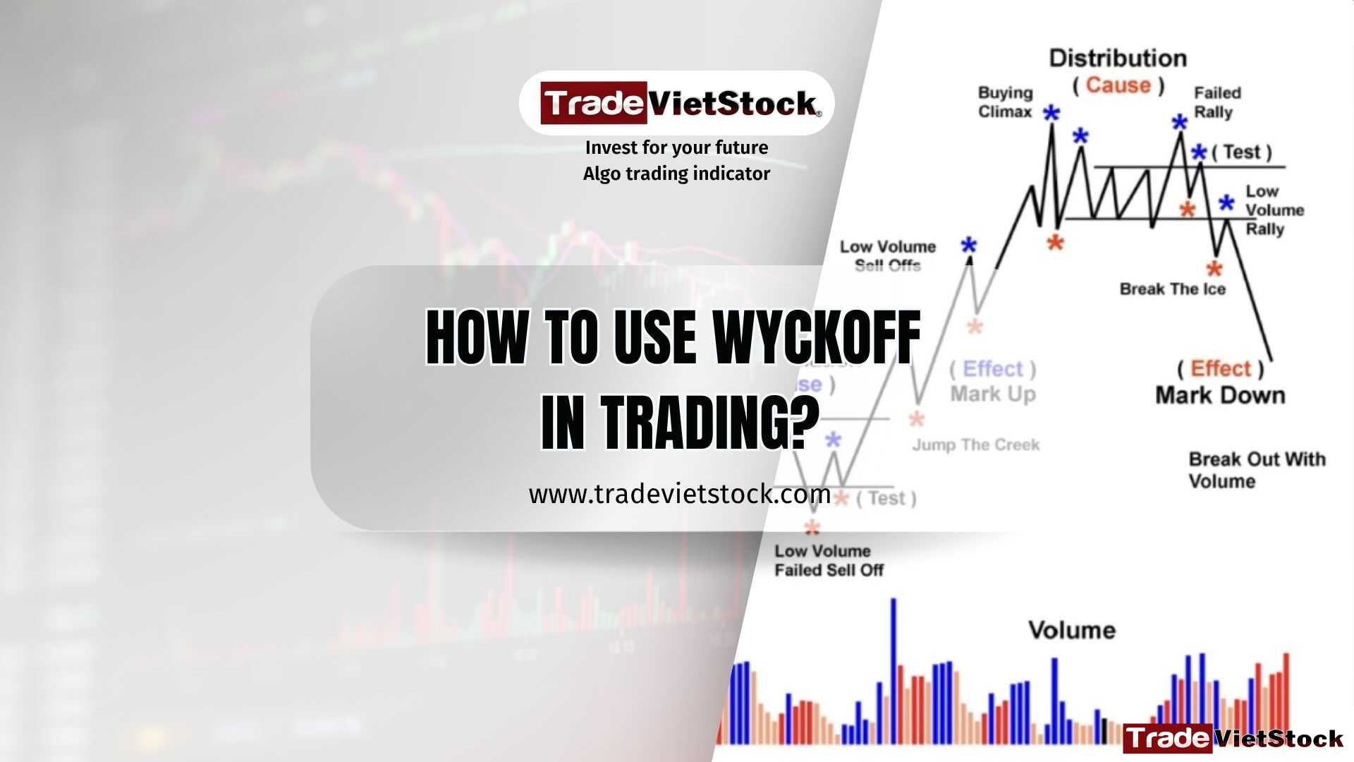 Wyckoff in trading for traders