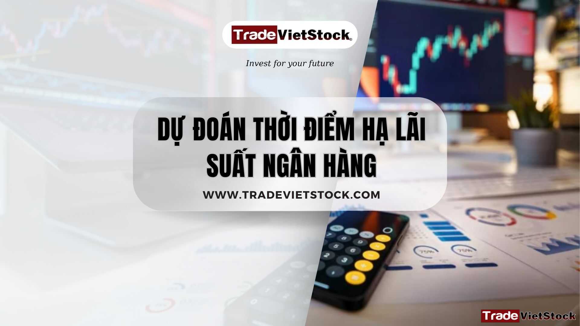 Bảo vệ: Dự đoán thời điểm hạ lãi suất ngân hàng